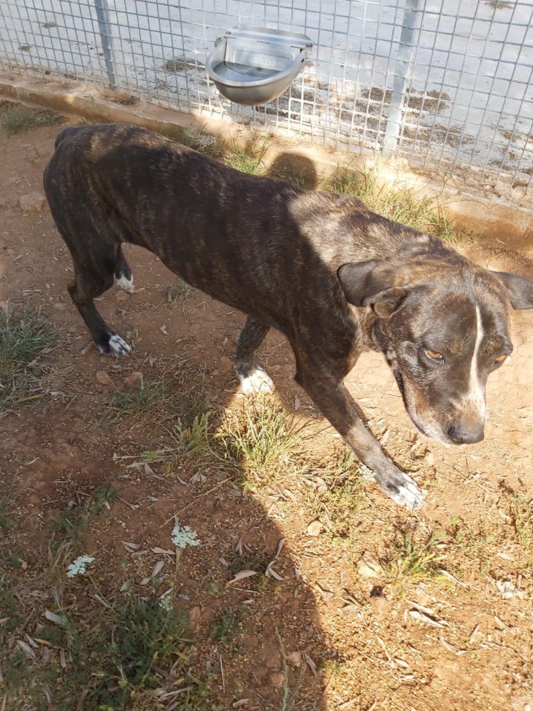 277565765_5222701094417358_1406630039086161691_n