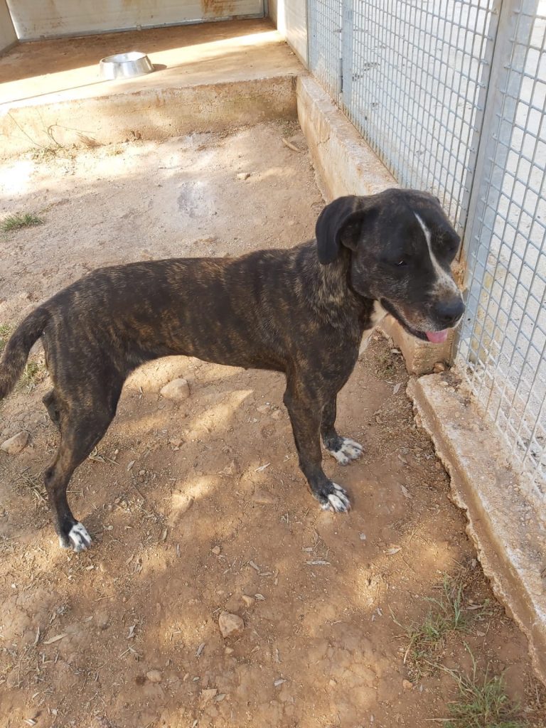 277571169_5222700971084037_7573614912451667719_n