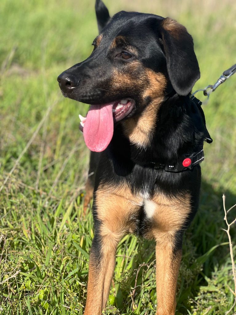 277575673_1378112549372977_3552277324061677545_n