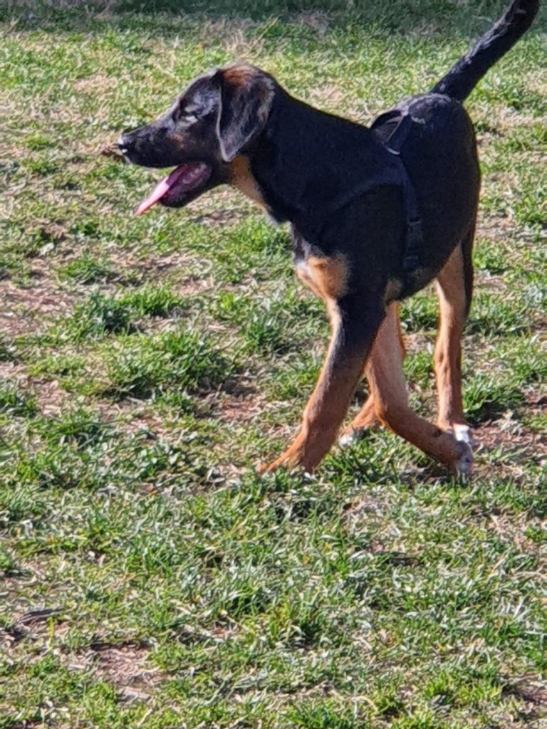 277739188_1378112479372984_566767908525491692_n