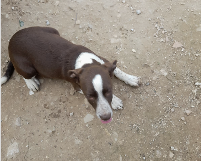 Schermata 2022-04-11 alle 22.24.03