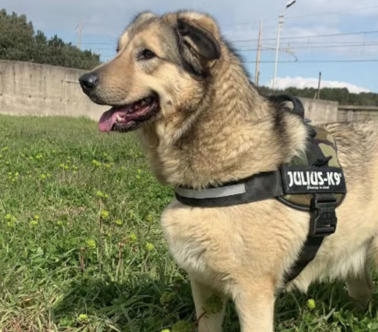 Schermata 2022-04-12 alle 12.36.36