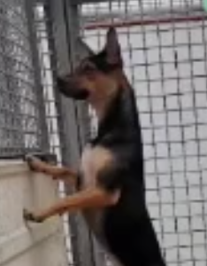 Schermata 2022-04-12 alle 15.29.41