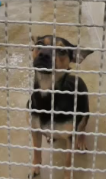 Schermata 2022-04-12 alle 15.30.07