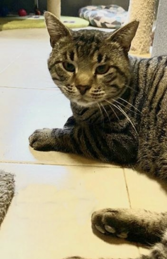 Schermata 2022-05-26 alle 17.30.08