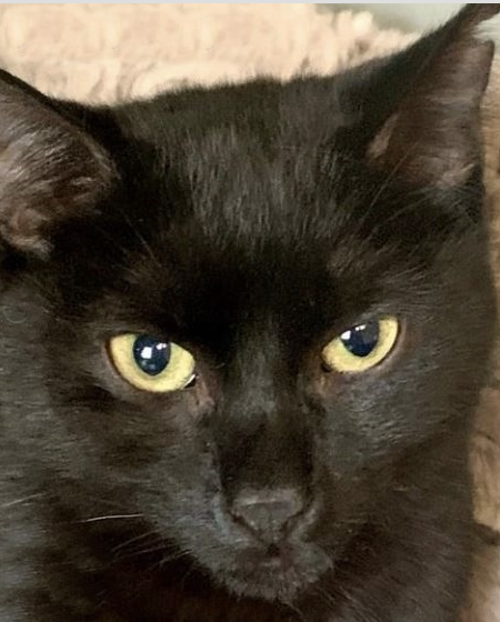 Schermata 2022-05-26 alle 17.39.32