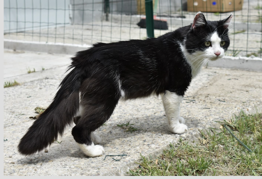 Schermata 2022-05-26 alle 17.42.39