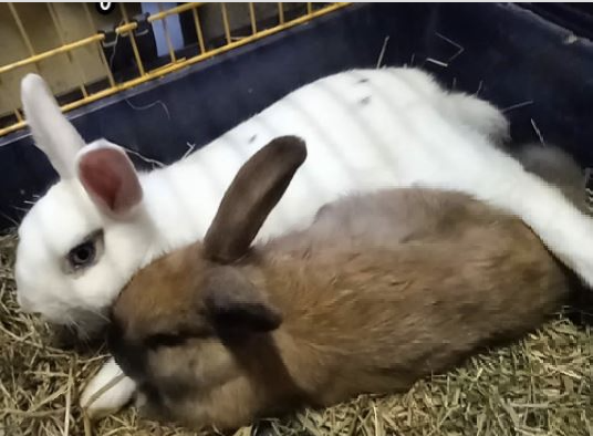 Schermata 2022-05-26 alle 17.55.52