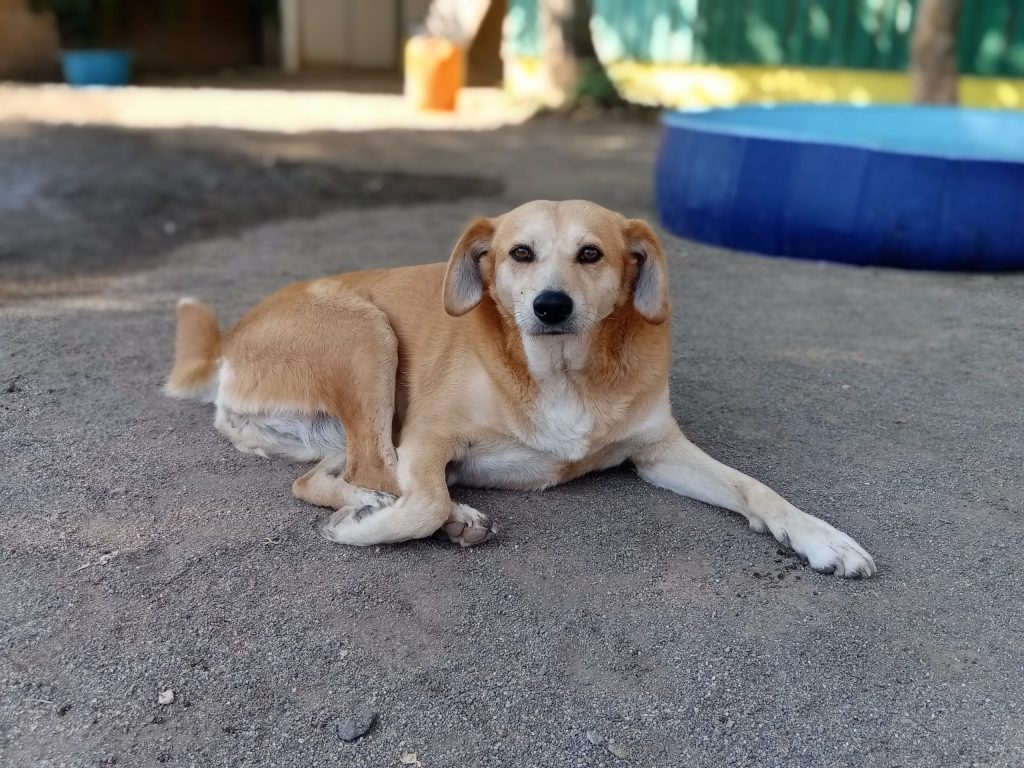 CRISTINA-IMG_20210723_092306-scaled-1024×768