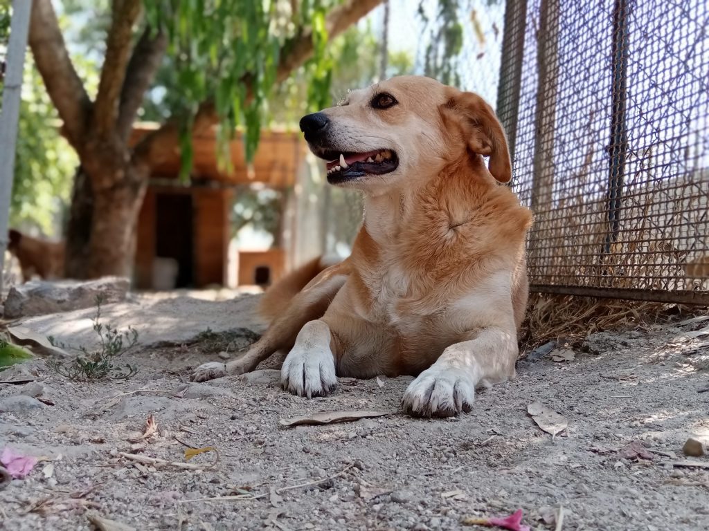 CRISTINA-IMG_20210723_115839-scaled-1024×768