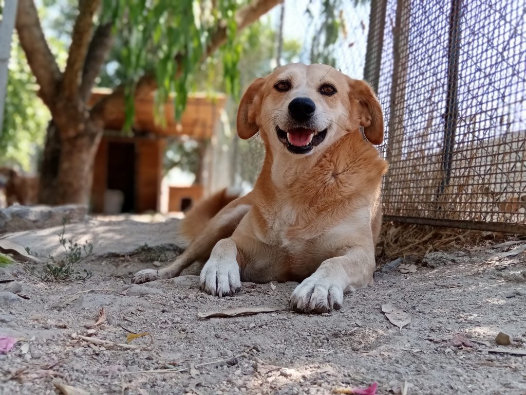 CRISTINA-IMG_20210723_115843-scaled-1024×768