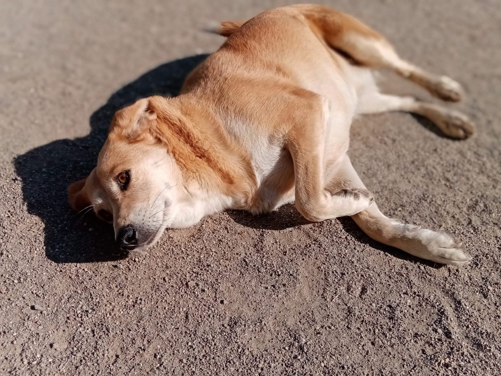 CRISTINA-scaled-1024×768