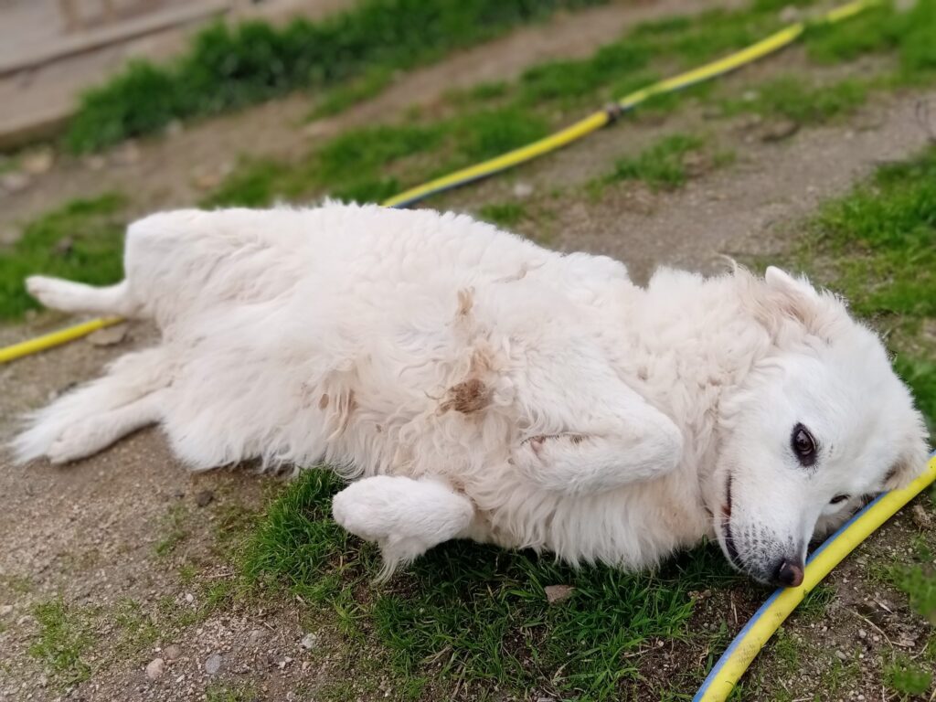 INGRID_20211124_150241-scaled