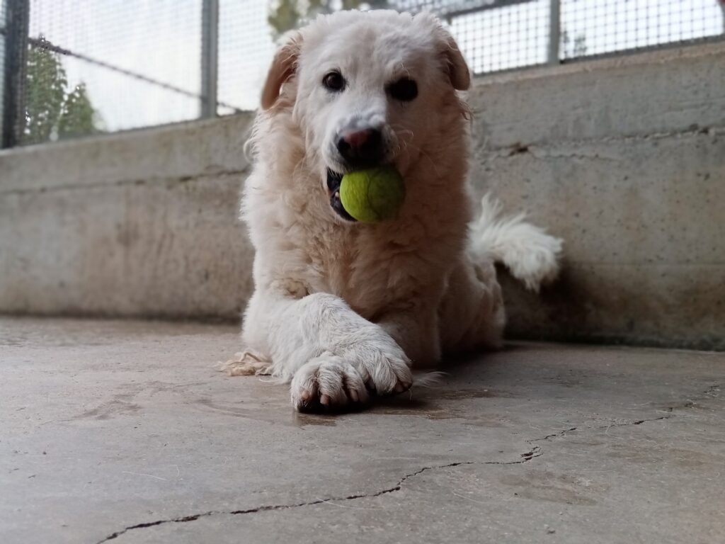 INGRID_20211124_150659-scaled