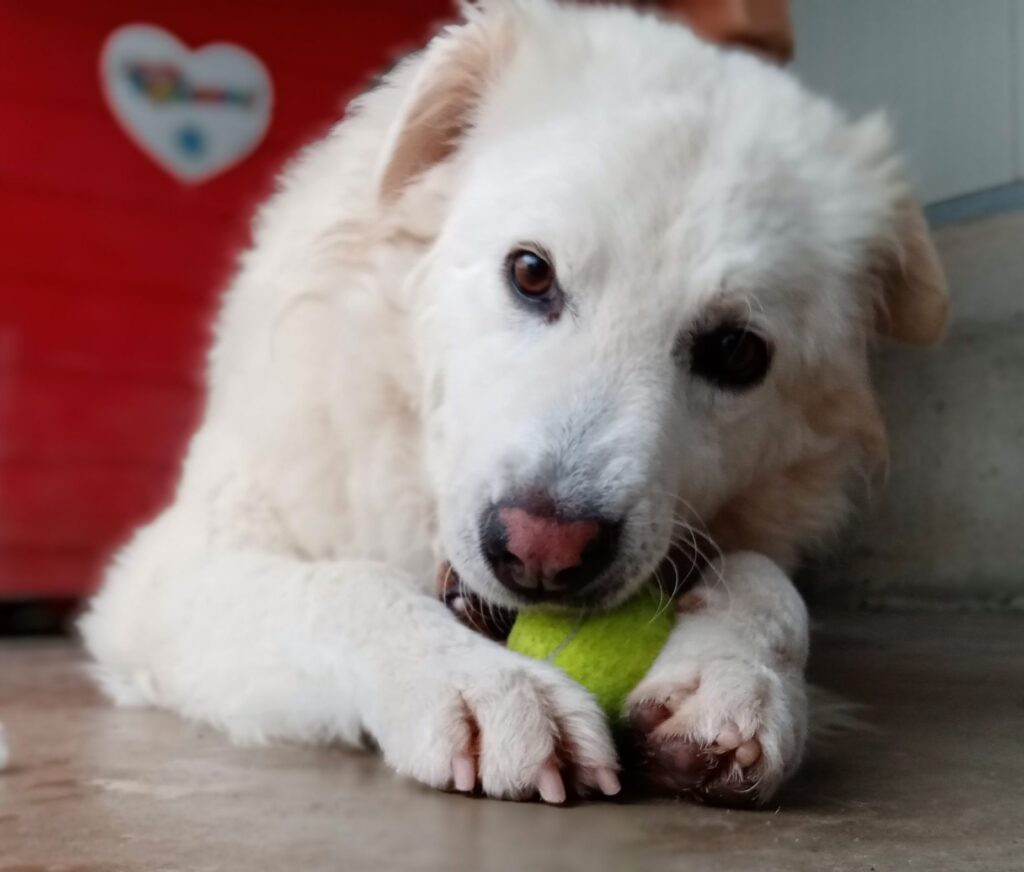 INGRID_20211124_150840-scaled-e1638174748281