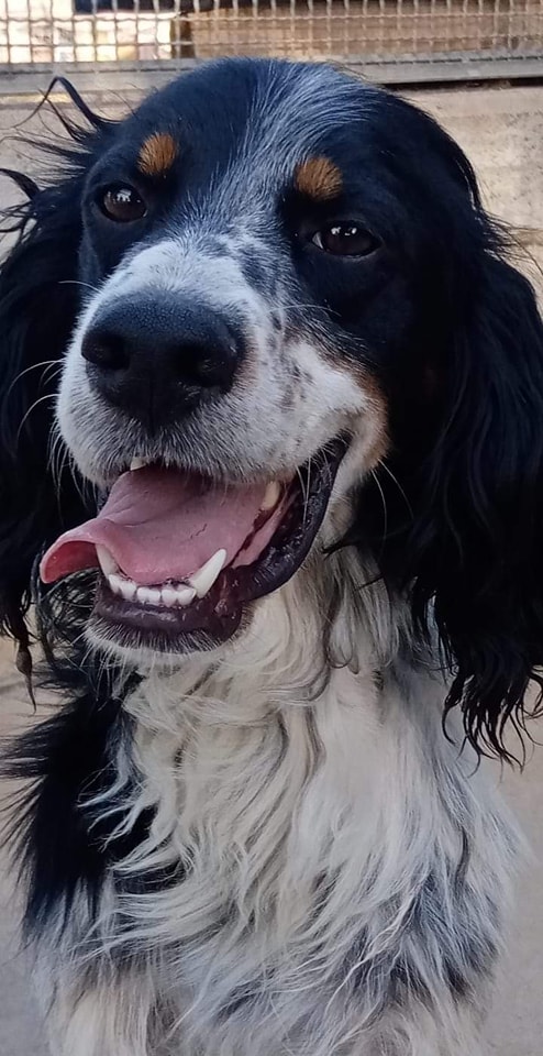 298367094_5236768986378793_94298737138768256_n