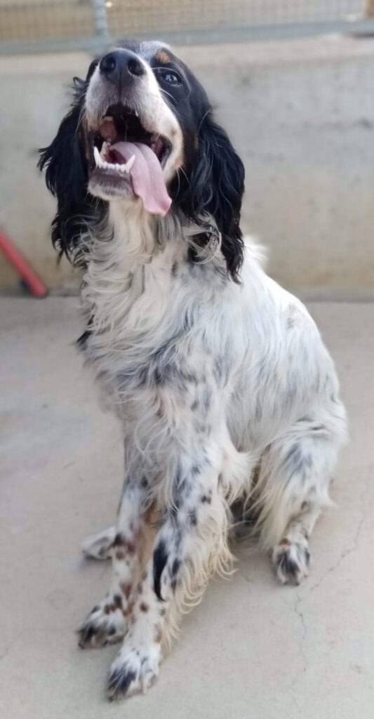 298536467_5236769403045418_8250229018342499964_n