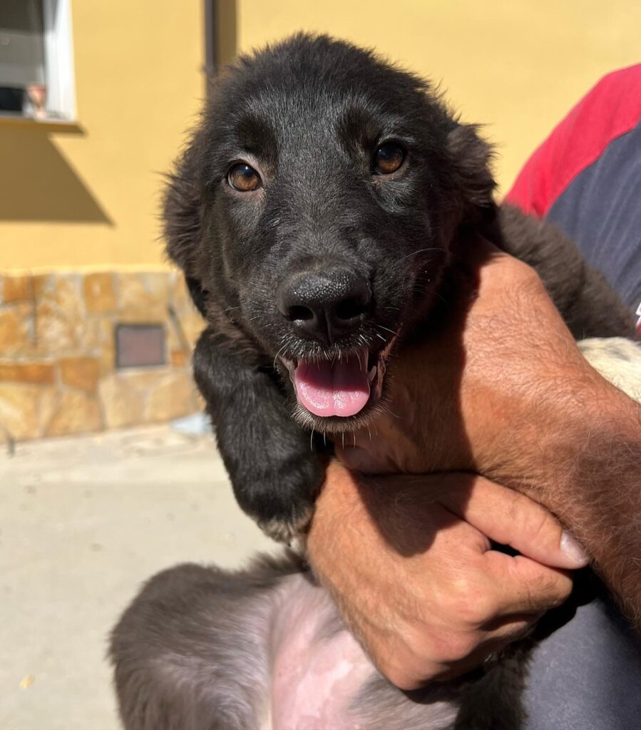 305476705_503644698431173_3207484185798647870_n