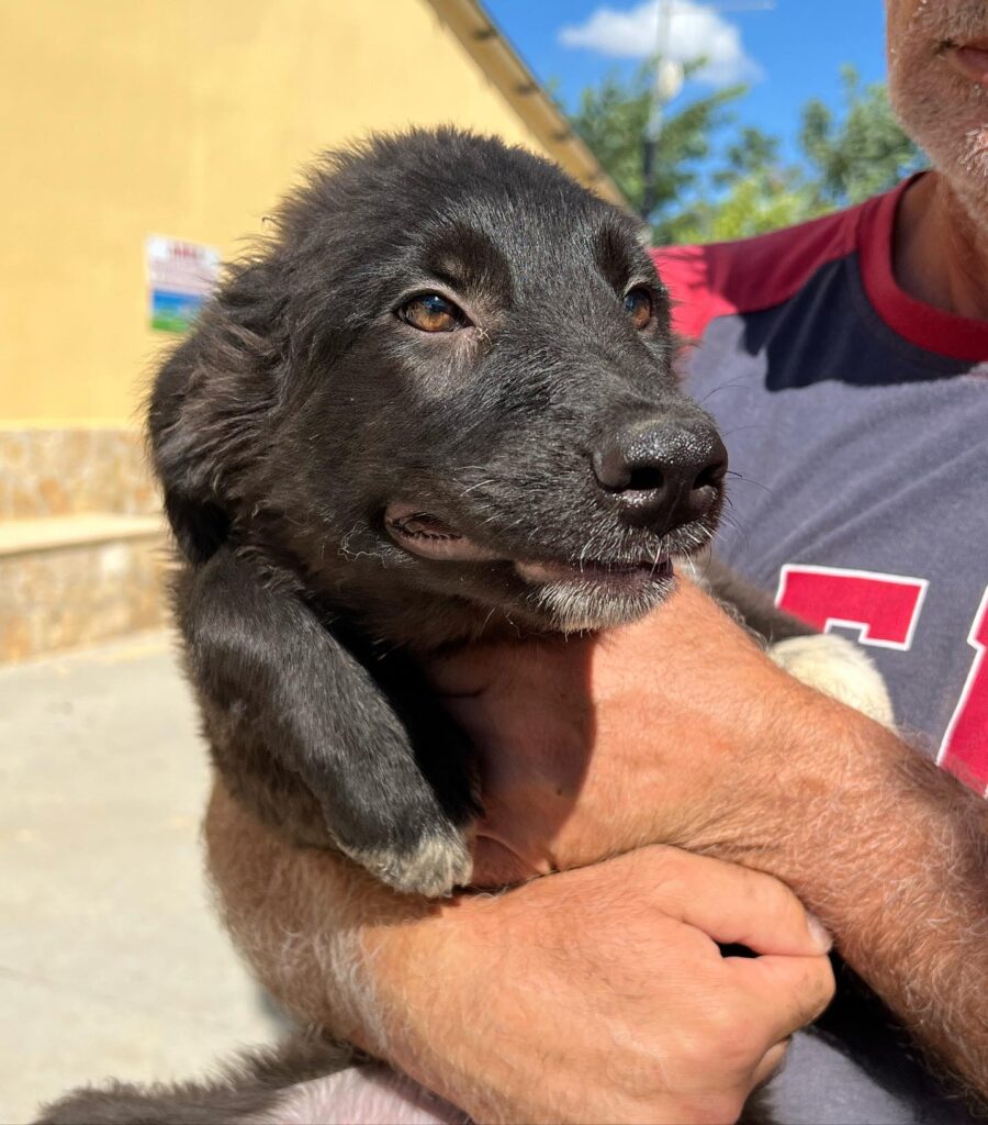 305801769_503644701764506_180738649649719861_n