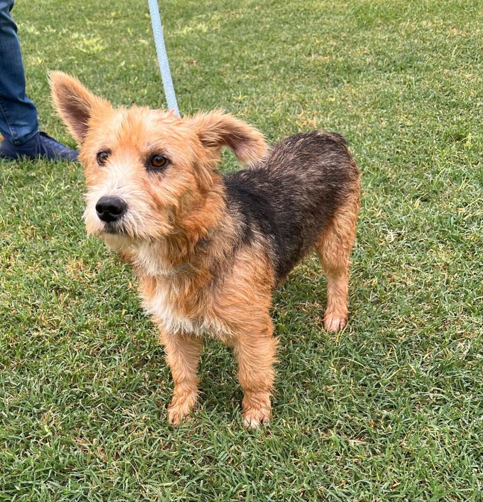 310255870_524715862990723_1498235920467709853_n