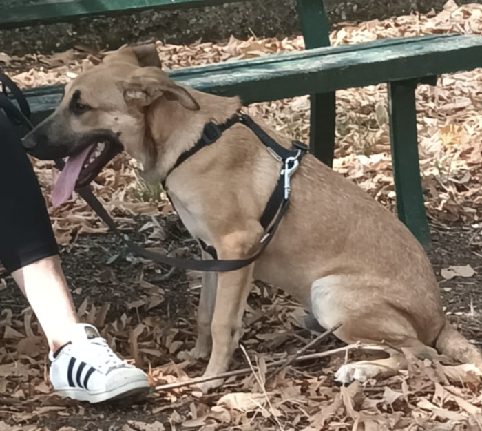 Schermata 2022-11-02 alle 13.19.34