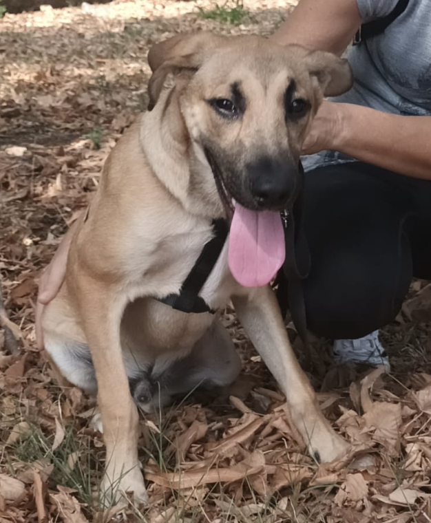 Schermata 2022-11-02 alle 13.19.40