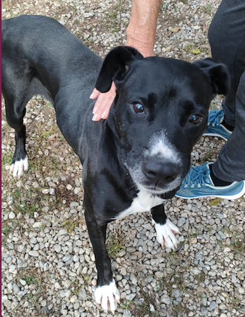 Schermata 2022-11-02 alle 15.09.39