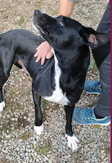 Schermata 2022-11-02 alle 15.09.45