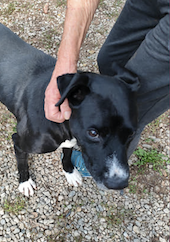 Schermata 2022-11-02 alle 15.09.50