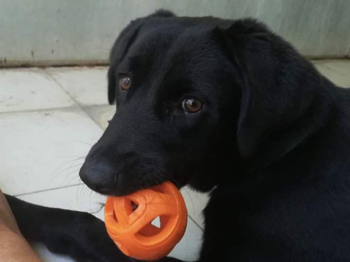 LUDMILLA E PRISCILLA