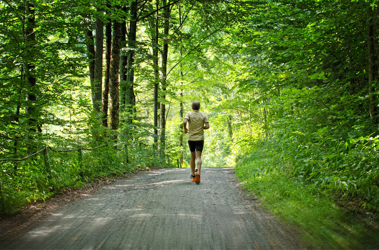 Le regole del fitwalking