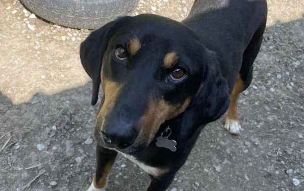 Schermata 2023-06-09 alle 15.48.26