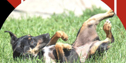 Schermata 2023-06-09 alle 15.49.48