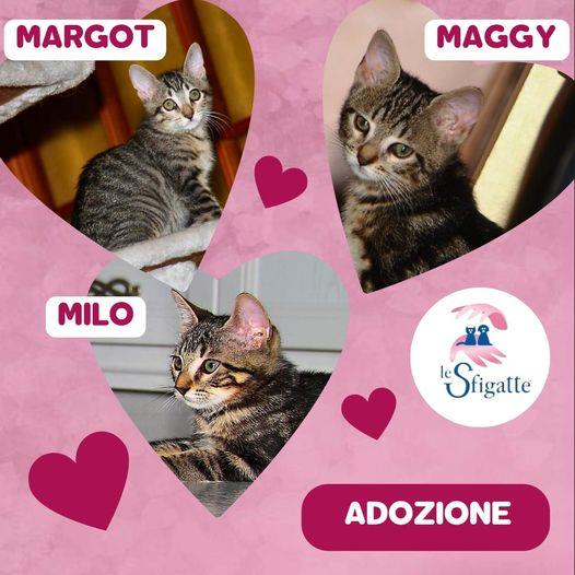 MARGOT, MAGGY, MILO