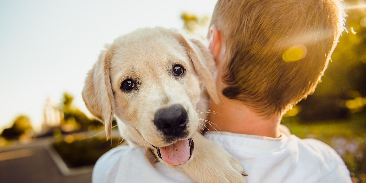 Pet Therapy non è solo coccole: gli aspetti terapeutici svelati