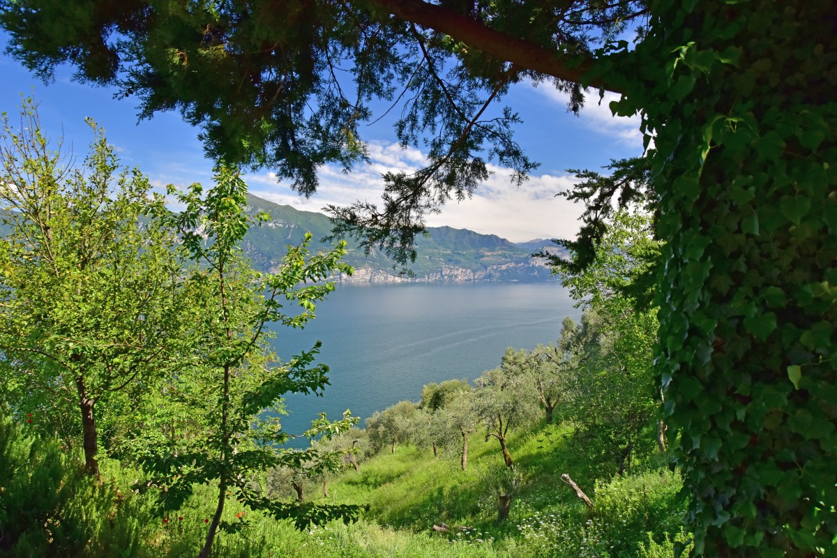 Il Lago di Garda, fra monti, spiagge e colline