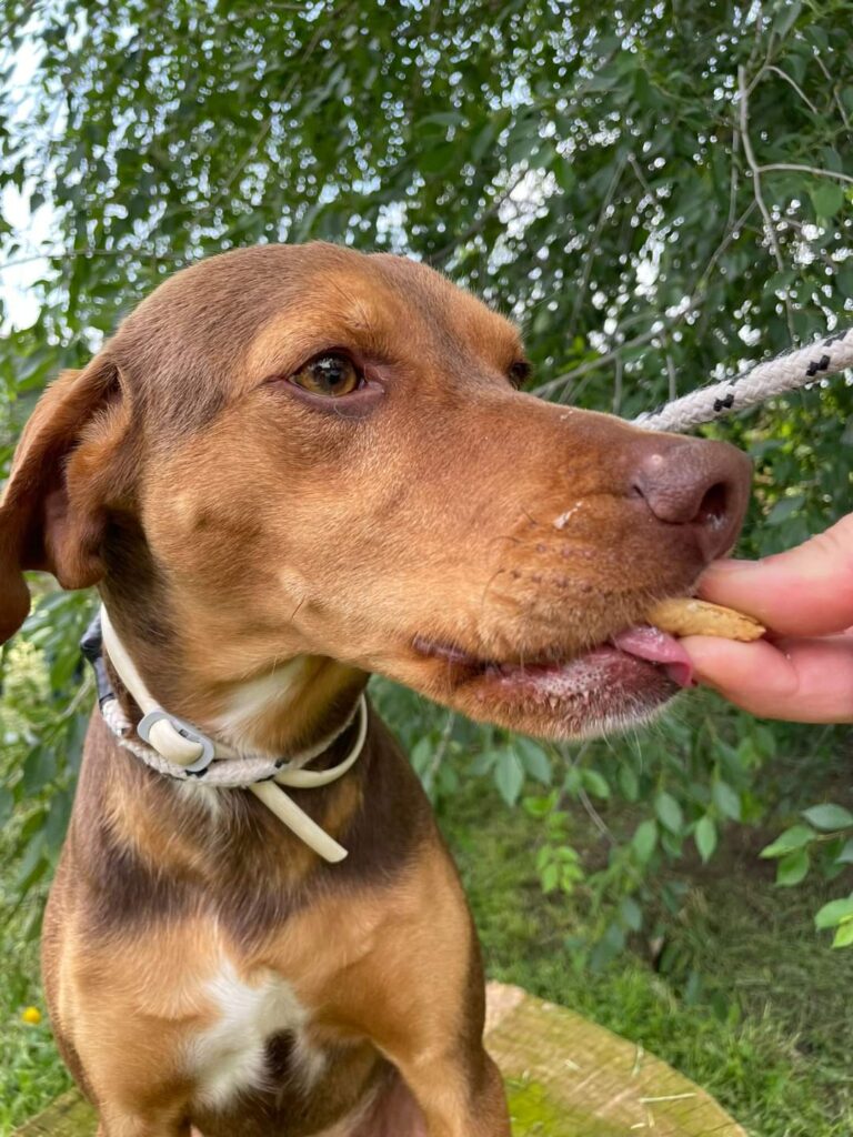 FB_IMG_1685563221944