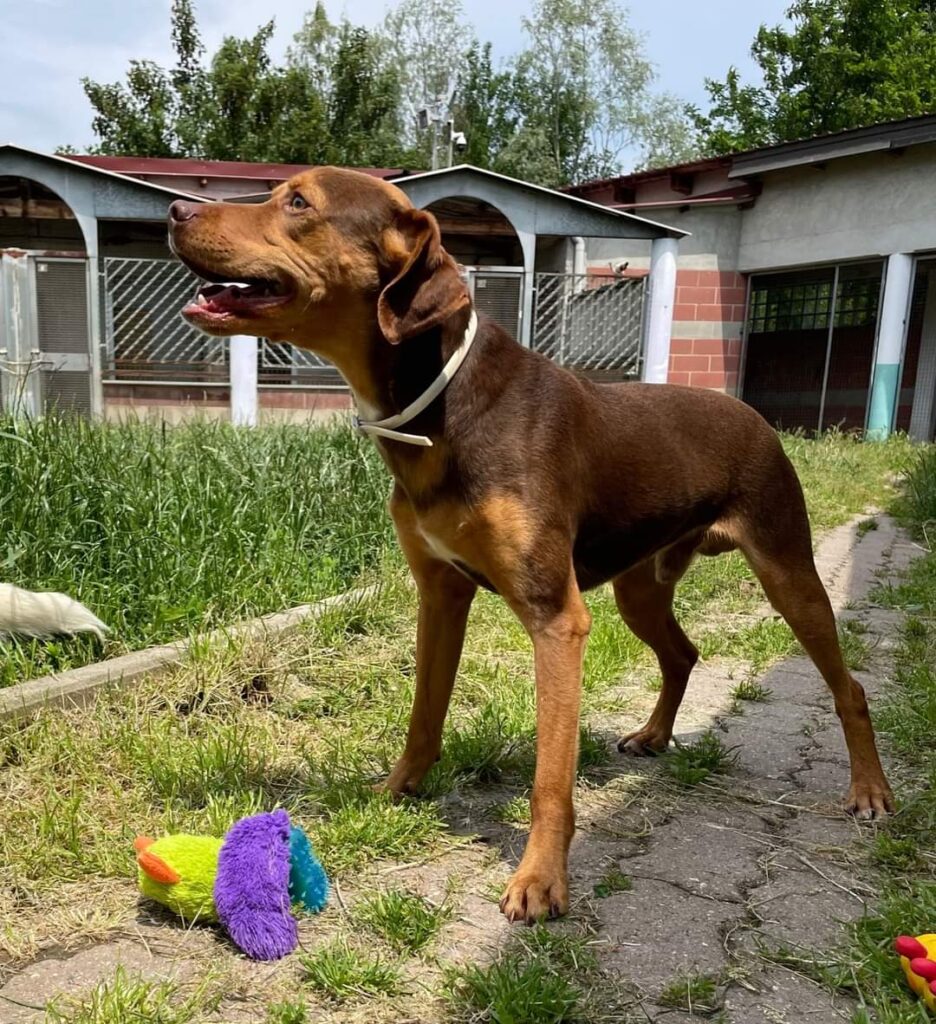 FB_IMG_1685563225523