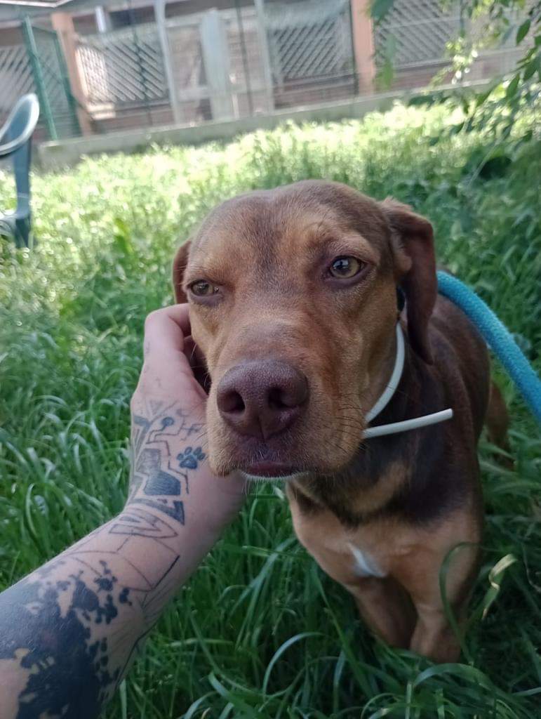 FB_IMG_1685563236377