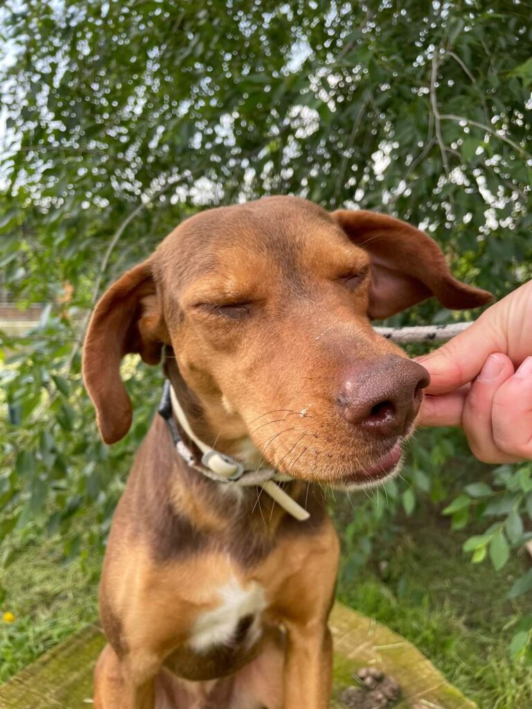 FB_IMG_1685563239268