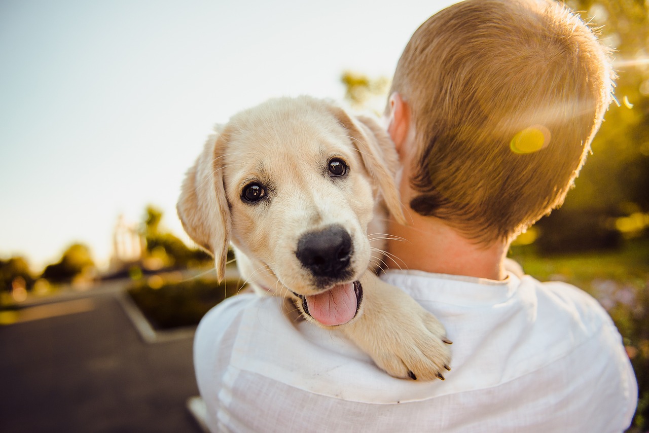 Quale cucciolo scegliere come primo cane? Le razze migliori