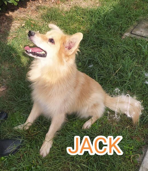 JACK