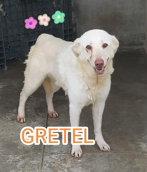 GRETEL