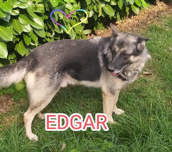 EDGAR