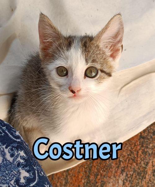 COSTNER