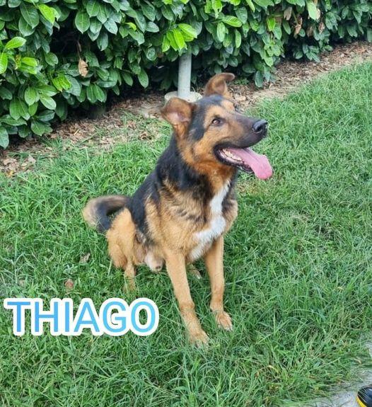 THIAGO