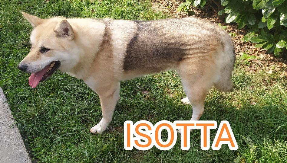 ISOTTA