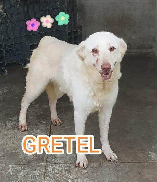 GRETEL