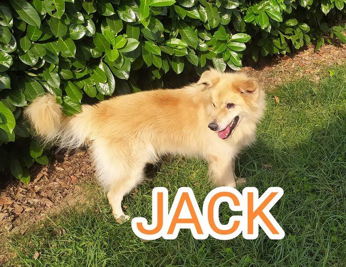 JACK