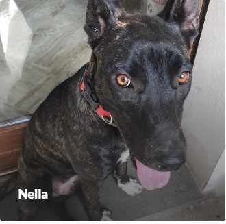 NELLA